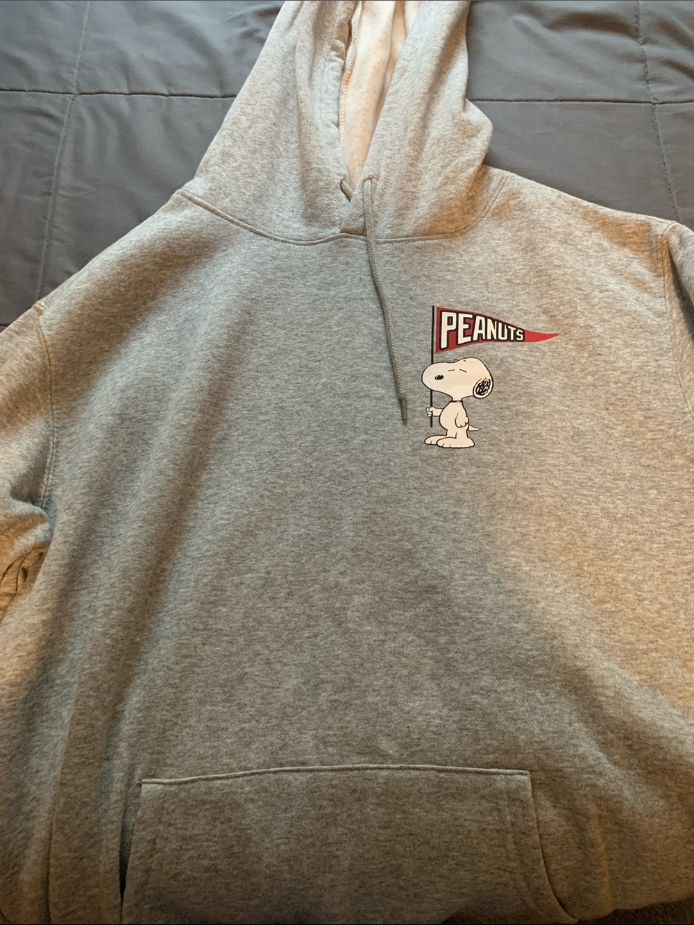 Peanuts Youth Gray Crewneck Hoodie with Snoopy Graphic